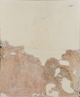 1991-paesaggio-tecnica mista su tela-cm 120x100-Bassa