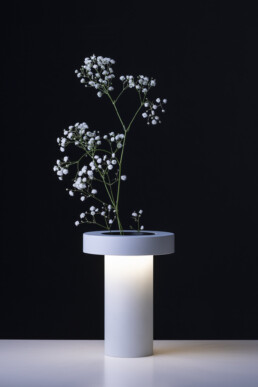 360.00-FMS_2269-Bassa